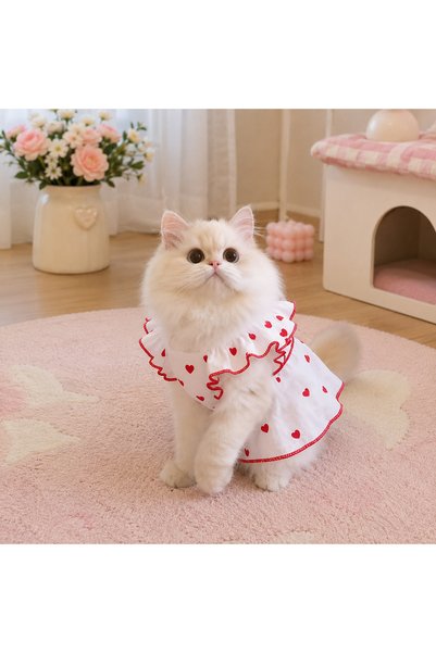 Pawellia.co Small Breed Dog Dress, Dog Outfit, Cat Dress