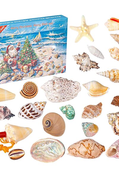 OEM Calendare Advent pentru Jucării pentru Copii 3-12 Ani Model Scoică 24 Piese