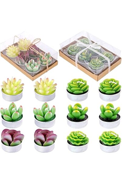 The Bros 12Pcs a Pack Artificial Succulents Candles Handmade Cactus Tealight ...