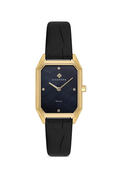 Icestone Women's Wristwatch Ic.24309.01