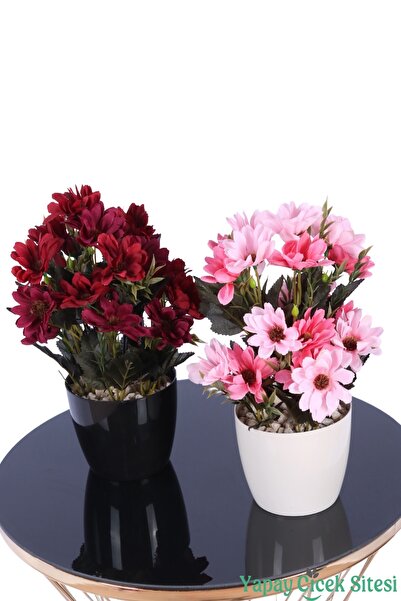 Yapay Çiçek Sitesi Artificial Layered Daisy Arrangement in Plastic Flower Pot...