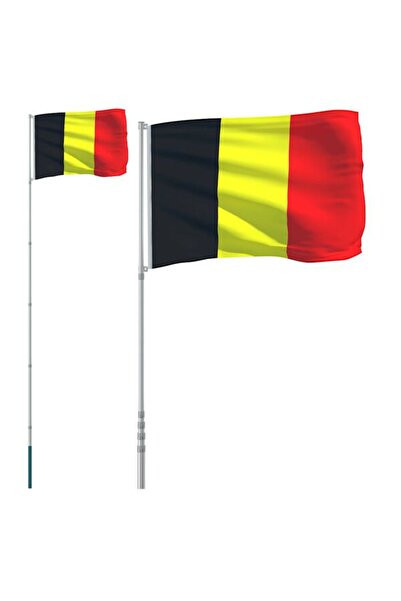 vidaxl Steagul Belgiei și stâlp de aluminiu, 5,5 m