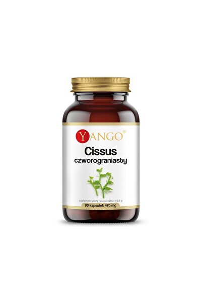 YANGO Cissus