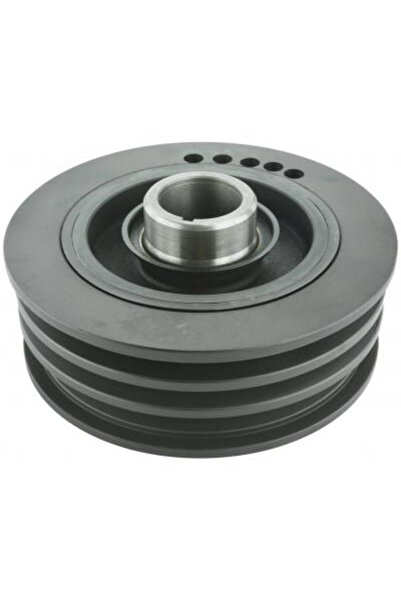 FEBEST Fulie curea, arbore cotit TDS-1FZFE