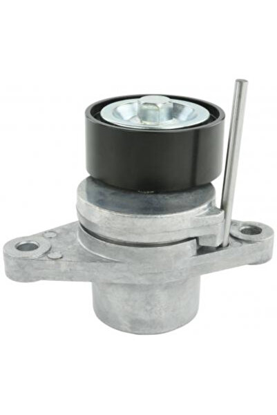FEBEST Intinzator curea, curea de distribuție 0290-G15RA