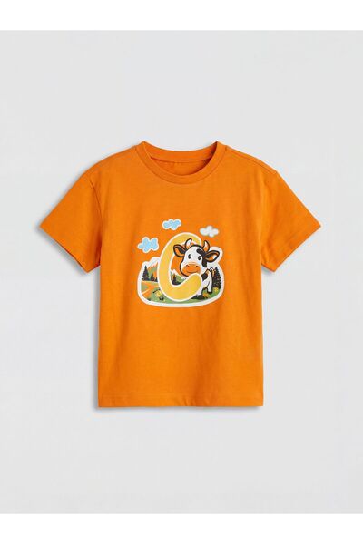 LC Waikiki Printed Boy's T-Shirt