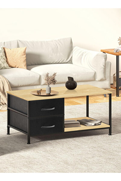 Ammar Space Coffee Table with Drawers for Living Room 2-Tier Coffee Tables wi...