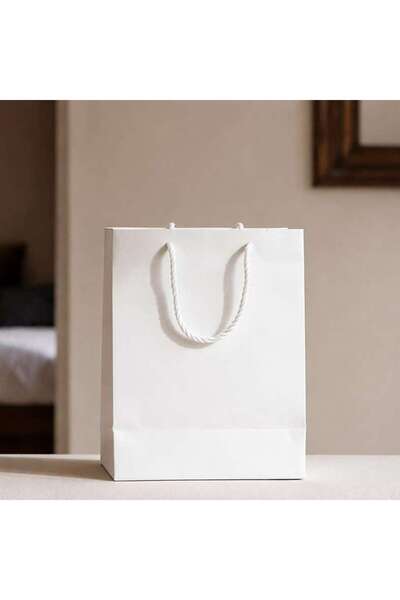 PAN HOME Plain Paper Gift Bag 22x10x28cm - Assorted