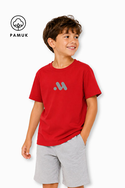 difa kids Tricou pentru băieți, gri strălucitor, imprimat, casual, cu mânecă ...