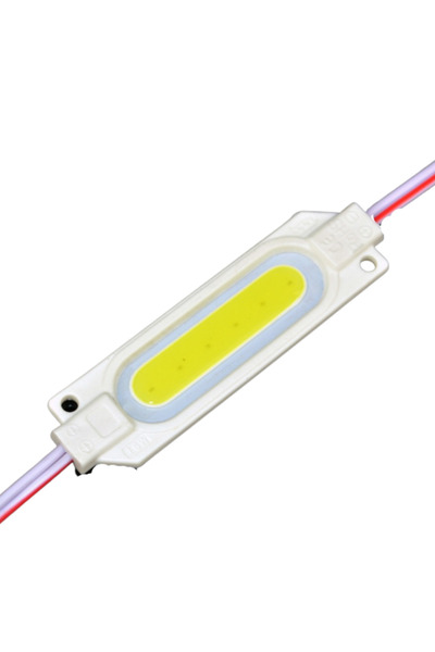 DELIGHT Modul LED COB ALB 6 LED-uri 2W/150lm 12V IP65, 1 buc