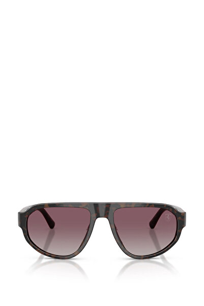 Scuderia Ferrari Fz6027U Burgundy Brown Men's Sunglasses