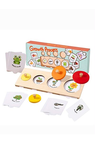 OEM Etapele vietii - puzzle din lemn evolutiv cu 30 cartonașe