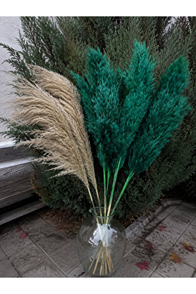 TROYA Yeşil / Doğal Pampas 20 Adet 100 Cm