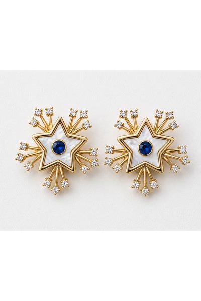 CHARMLUCKY Special Series Mother of Pearl Star Earrings