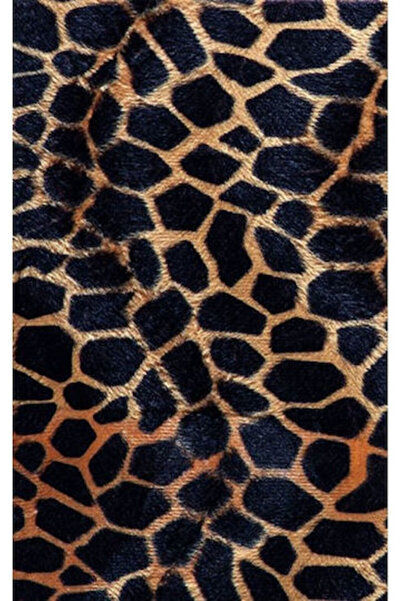 Folia 55512