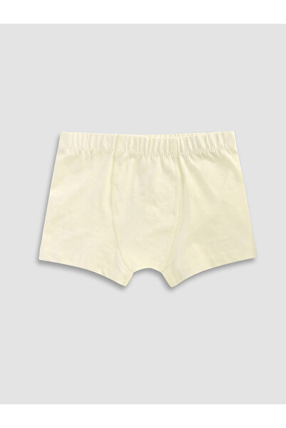 LC Waikiki Vizyon New Season Boys' Boxer