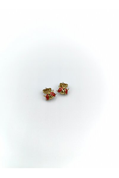 Aysu Store Altın Kaplama Uğur Böceği Tasarım Minimalist Çelik Küpe (1,2 cm)