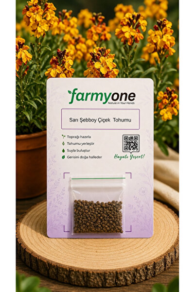 farmyone Sarı Şebboy Çiçek Tohumu – 100 Adet