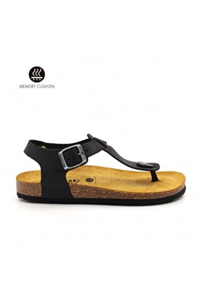 PLAKTON 181676 Apure Negro