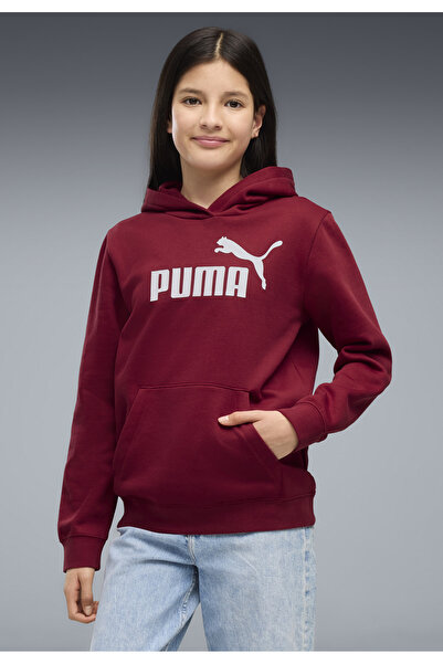 Puma ESS No. 1 Logo Fleece-Hoodie