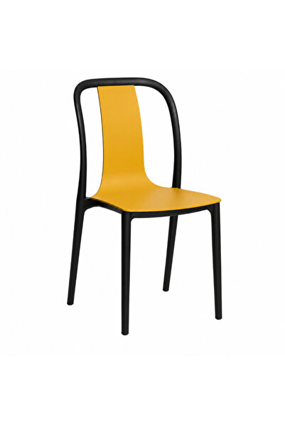 Palma homez Multi-Colored Dining Chair with Bold Modern Design