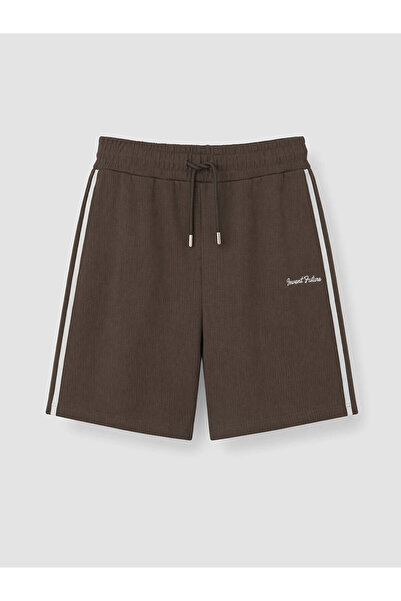 LC Waikiki Peak New Season Regular Fit Striped Men's Shorts