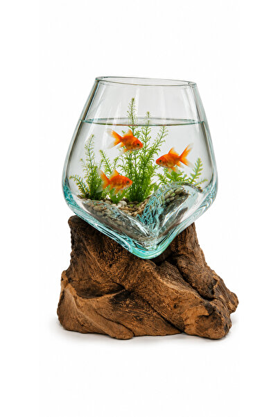 Generic Luxury Glass Fish Tank with Wooden Base - Modern, Versatile Decorativ...