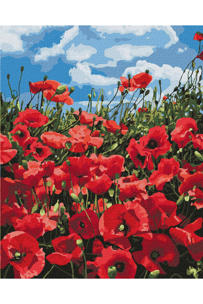 ideyka Set pictura pe numere, cu sasiu, Maci divini, 40x50 cm
