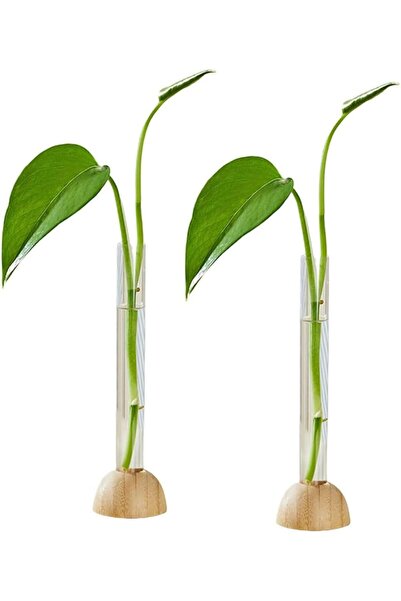 Arabest Test Tube Plants Terrariums,Wooden Stand,Plant Propagation Tubes,2 Mi...