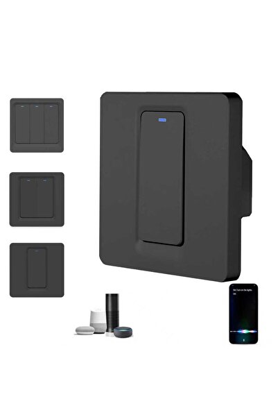 Lorraya Smart Light Switch Wall Type Phone Control Voice Control Black