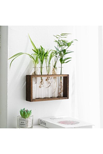 Arabest Glass Plant Vase with Wooden Stand,Desktop Hydroponic Planter,Retro T...