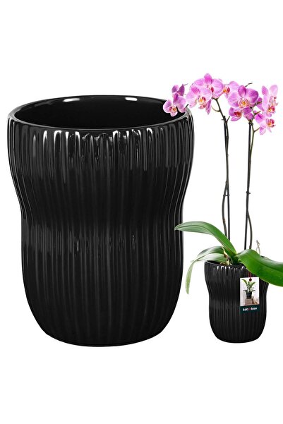 KOTARBAU Ghiveci de flori 11,5 cm, ceramic, negru, glazurat, cu caneluri, pen...