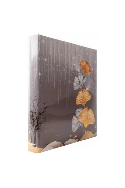 fandy Album foto 500 Poze 10x15 cm, Coperta durabila, GINKO 1, Alb