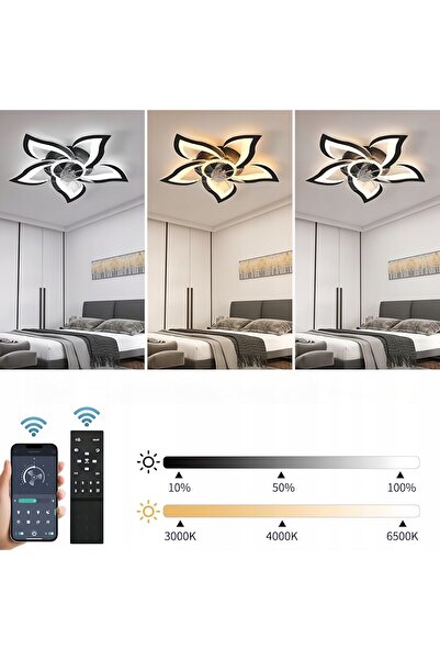 AjieQaQ Plafonieră cu ventilator neagră + telecomandă + aplicație + moduri de...