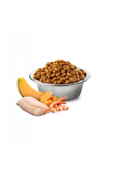 Farmina Hrană pentru pisici Ocean Hering, creveți, dovleac și pepene galben 5 kg