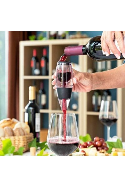 Ayawaska Set decantare vin, include aerator de vin cu filtru antidepuneri sau...