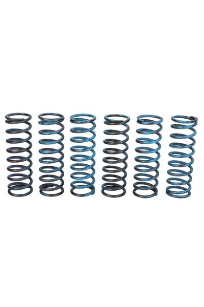 TRW Set Arcuri Ambreiaj Bmw F 650/700/800 2004-2018 BMW F
