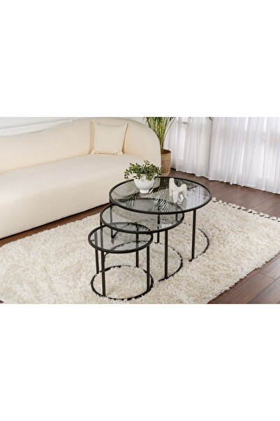 Rani Mobilya Rani Home Zigon Sehpa Üçlü Set Siyah Metal Ayaklı Füme Cam AB-5389