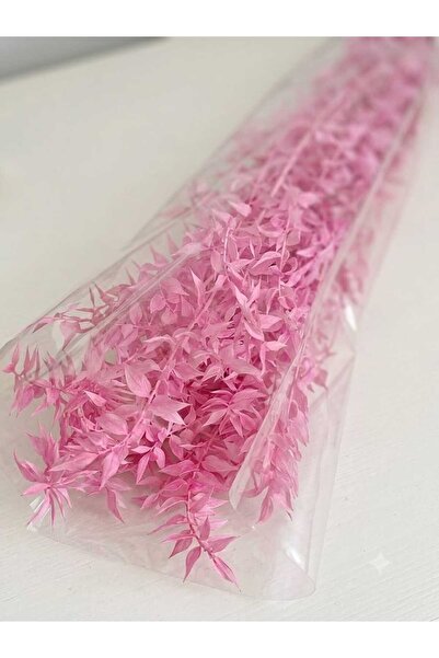 BİRLİK MGM Pembe Şoklanmış Ruskus Kokina Kurutulmuş Çiçek Demeti 60 cm - Deko...