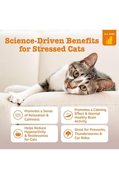 Zesty Paws Cat Mousse Calming For Cat - Chicken Flavor - 14 Sachets