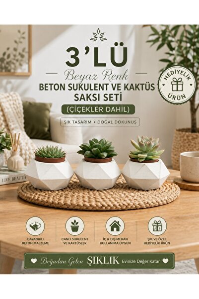 Hep İndirimli Hediyelik 3'lü Beyaz Renk Beton Sukulent Ve Kaktüs Saksı Seti (...
