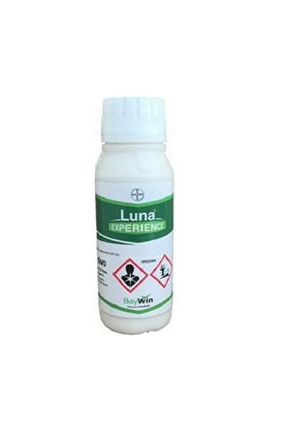 Bayer Λούνα Εξπεριένσι Σι Σι