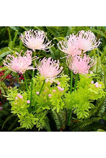 OEM Lămpi solare de grădină – Flori luminoase și tulpini LED, Panou solar efi...