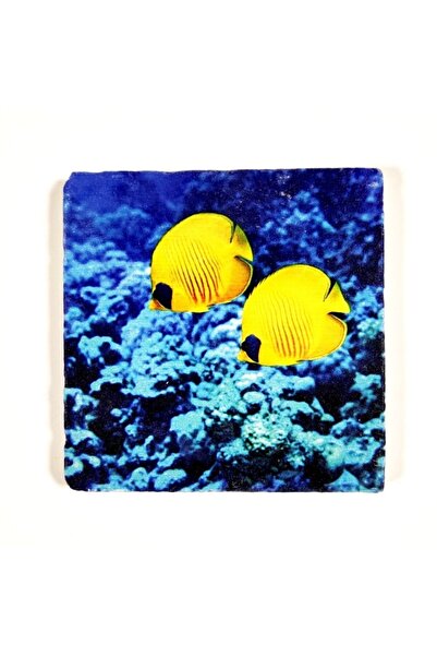 Şeker Portakalım Decorative Figured Special Size 20X20X1 cm Natural Stone Bat...