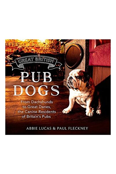 Generic (Unbranded) Great British Pub Dog