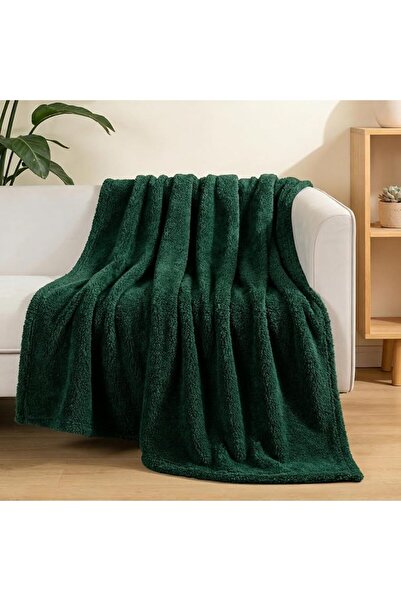 Exclusivo Mezcla Soft Fleece Throw Blanket for Couch, Super Soft Velvet Plush...