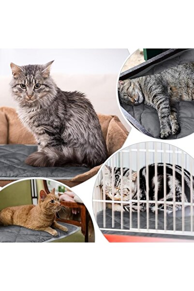 KASTWAVE Self Heating Cat Pad, Self Warming Dog Mat Heat Extra Warm Thermal P...