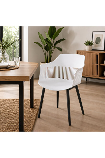 N.zone Modern Mesh Design Dining Chair with Armrests and Durable Metal Legs, ...