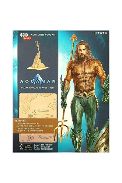 Generic (Unbranded) Incredibuilds: Dc Comics- Aquaman