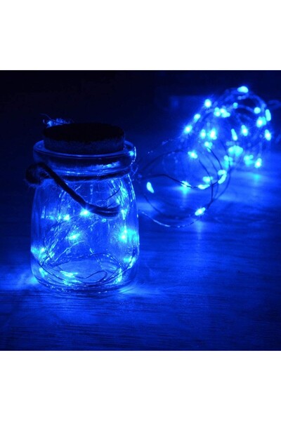 Rao Christmas Installation, 5 M, Blue, 50 LEDs, Batteries,